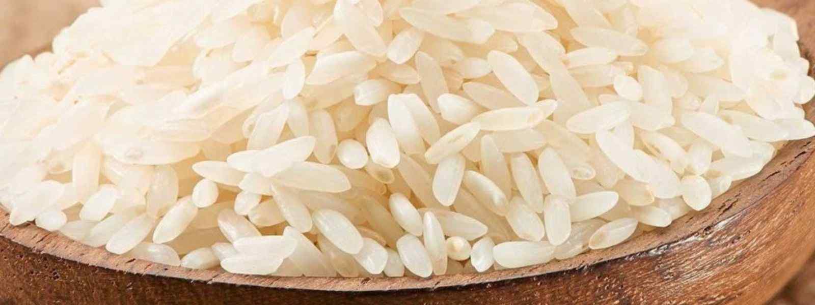 GR/11 வகை பொன்னி சம்பா இறக்குமதிக்கு அனுமதி